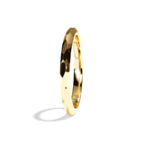 Alliance homme platine - Aventurier 2 mm